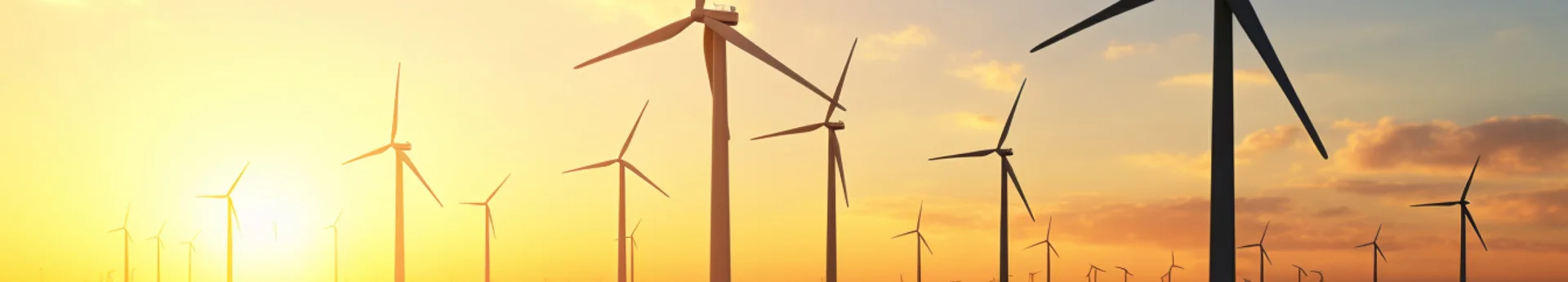 windmills
